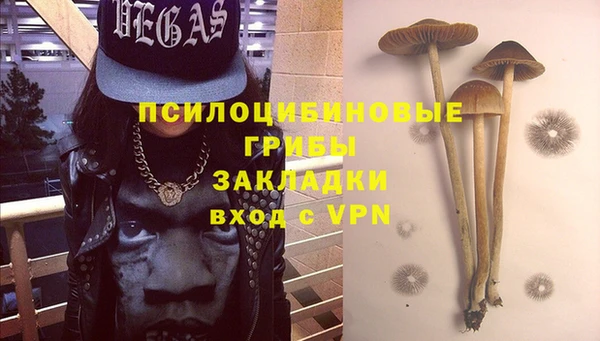 бошки Новозыбков