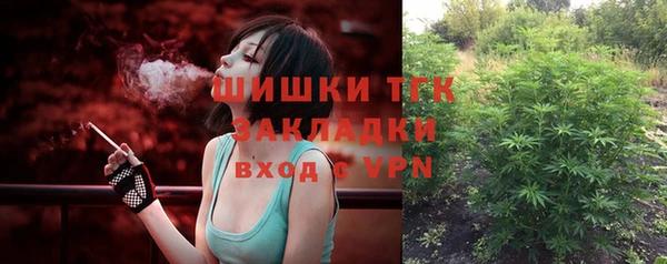 бошки Новозыбков