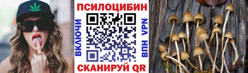 Галлюциногенные грибы прущие грибы  как найти закладки  Олёкминск 